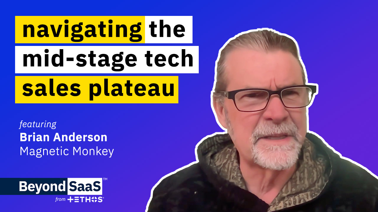 Navigating the Mid-Stage Tech Sales Plateau | Brian Anderson on BeyondSaaS Ep 001